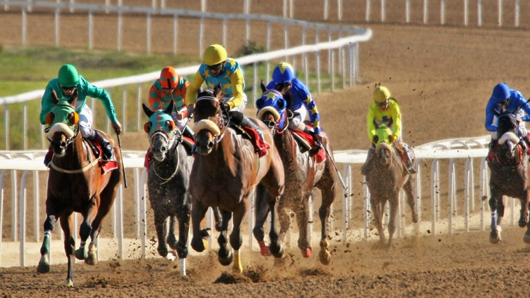 Markopoulo Park: Ρεκόρ συμμετοχών με 73 ίππους