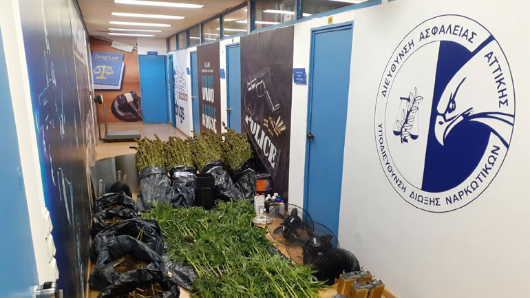Εντοπίσθηκε εργαστήριο καλλιέργειας κάνναβης στο Αιγάλεω