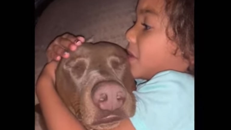 Κοριτσάκι νανουρίζει τον σκύλο της