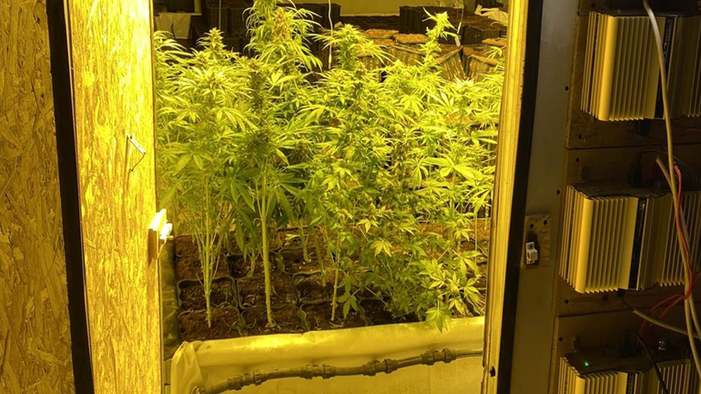 Παράνομο εργαστήριο καλλιέργειας χασίς με είσοδο από τη ντουλάπα κρεβατοκάμαρας!