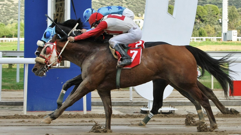 Markopoulo Park: Μεγάλα κέρδη μοίρασε το ΣΚΟΡ 6