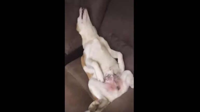 Η προσωποποίηση της απόλυτης χαλάρωσης!