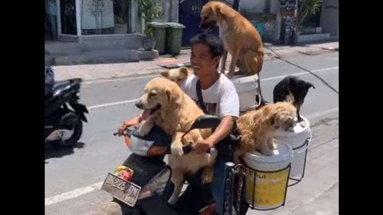 Πήγε βόλτα τους σκύλους του… με τη μηχανή