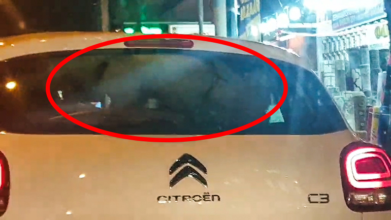 Όταν ο σκύλος έχει όρεξη