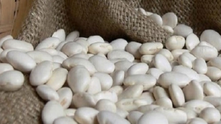 “Σβήνει” η παραγωγή των περίφημων φασολιών στις Πρέσπες
