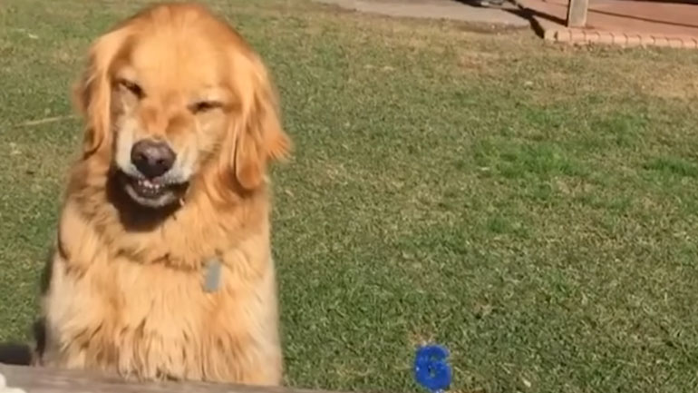 Όταν δεν θέλεις να μοιραστείς το φαγητό σου…