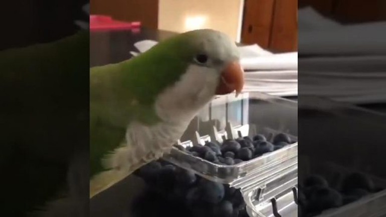 Αυτές οι εκνευριστικές συσκευασίες