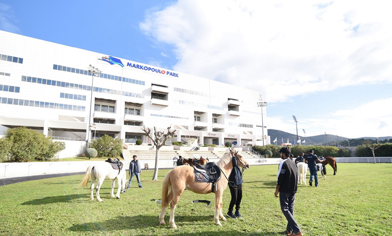 Ιππασία με πόνυ και άλογα στο Markopoulo Park