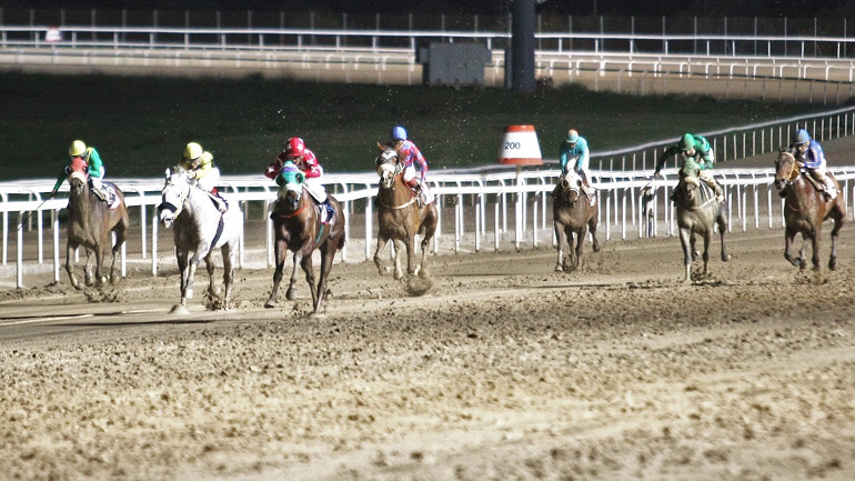 Markopoulo Park: Έπαθλα 25.000 ευρώ και 28 κορυφαίοι ίπποι στα Winter Challenge