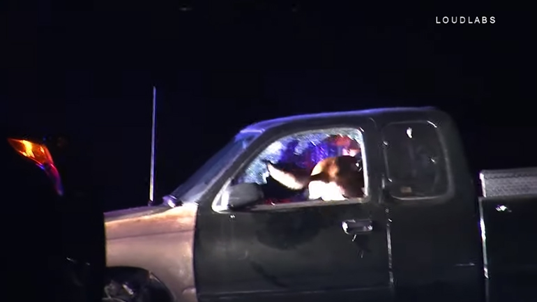 Αστυνομικός σκύλος ορμά σε αυτοκίνητο και αρπάζει καταζητούμενο