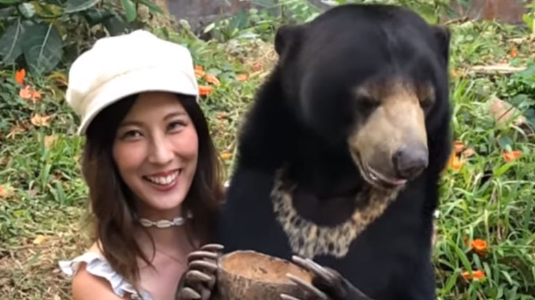 Ινδονησία: Αρκούδα κάθεται στα πόδια κοπέλας