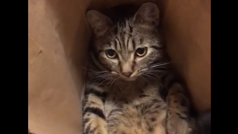 Η καλύτερη «τυχερή σακούλα» του κόσμου