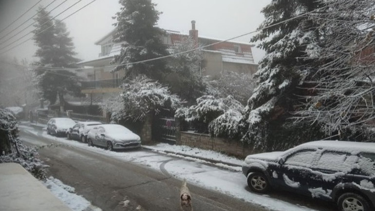 Αχ ρε «Ζηνοβία»!