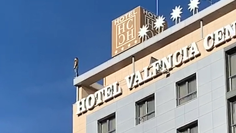 Αυτοκτόνησε πηδώντας από την ταράτσα ξενοδοχείου στη Βαλένθια