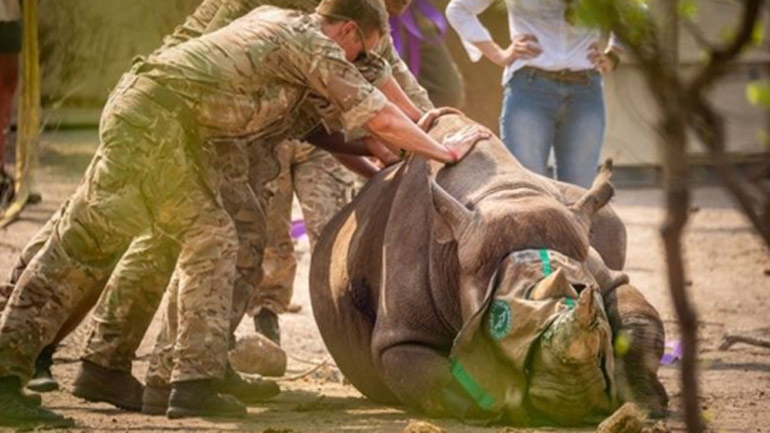 Βρετανοί στρατιώτες διασώζουν ρινόκερους από τη λαθροθηρία στο Μαλάουι