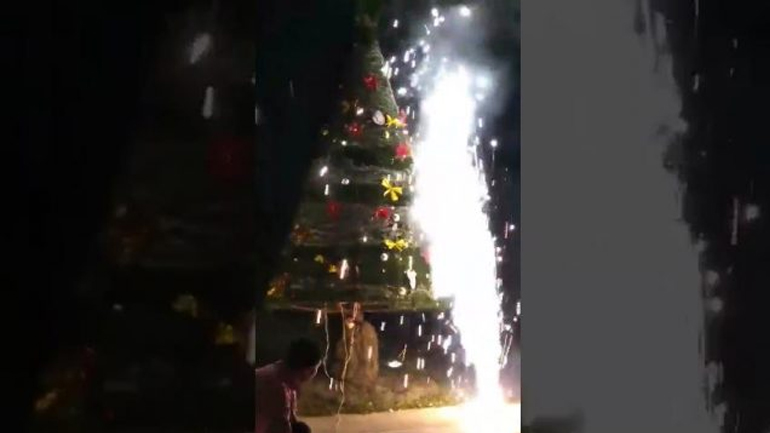 Χριστουγεννιάτικο δέντρο έγινε παρανάλωμα του πυρός