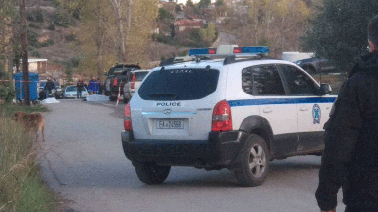 Εξαρθρώθηκε σπείρα ζωοκλεφτών στη Θεσπρωτία