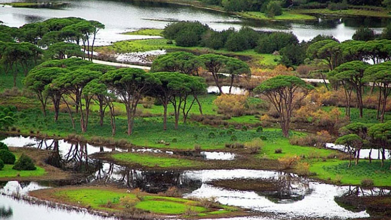 Λαθροθήρας με τζετ σκι πυροβόλησε κατά πολιτών στο Εθνικό Πάρκο Κοτυχίου-Στροφυλίας