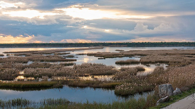 Πάτρα: Συνελήφθη ο λαθροθήρας που πυροβόλησε κατά πολιτών