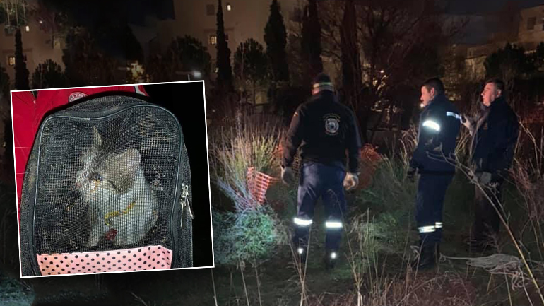 Μαρούσι: Η Πυροσβεστική διέσωσε γάτα που έπεσε σε φρεάτιο βάθους 14 μέτρων