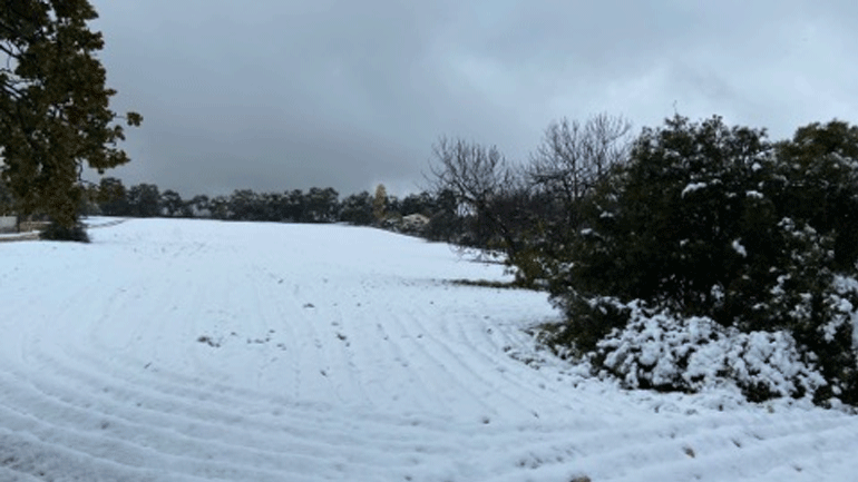 Στα λευκά «ντύθηκαν» τα Μέγαρα