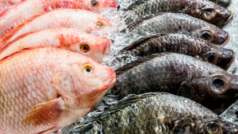 Η κατανάλωση θαλασσινών αυξάνει την έκθεση σε υδράργυρο