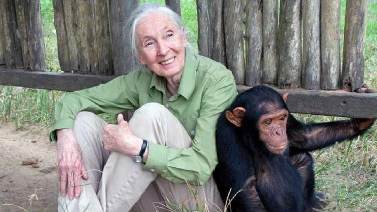 Η Τζέιν Γκούντολ και ο Μάι Τζια καλεσμένοι στο Φεστιβάλ Λογοτεχνίας στο Ντουμπάι