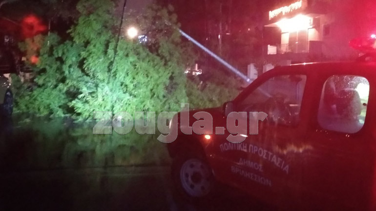 Πτώση δέντρου σε κεντρική οδό των Βριλησσίων – Διακόπηκε η ηλεκτροδότηση