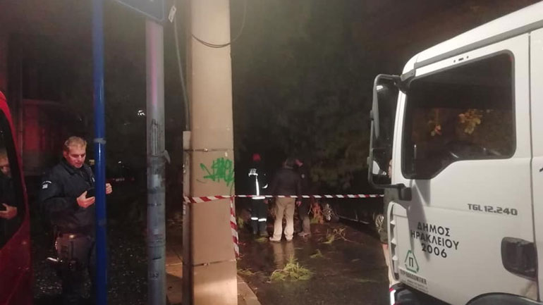 Κρήτη: Δένδρο έπεσε πάνω σε σταθμευμένο όχημα