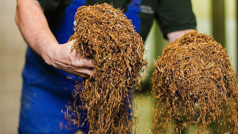 Ρουμανία: Κατάσχεση 48 τόνων λαθραίου καπνού το ενδεκάμηνο του 2019