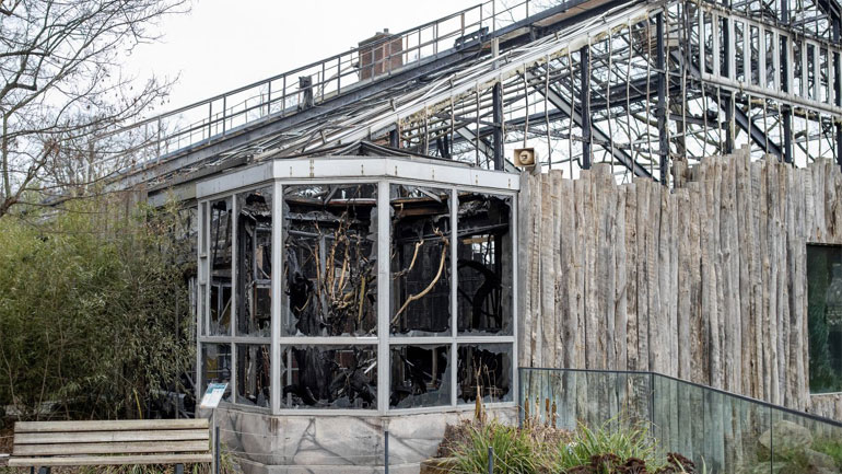 Γερμανία: Από ιπτάμενα κινέζικα φαναράκια η πυρκαγιά σε ζωολογικό κήπο