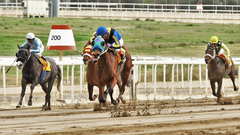 Markopoulo Park: Σημαντικά κέρδη για 15 νικητές του ΣΚΟΡ 6 στην πρώτη ιπποδρομιακή συγκέντρωση της χρονιάς