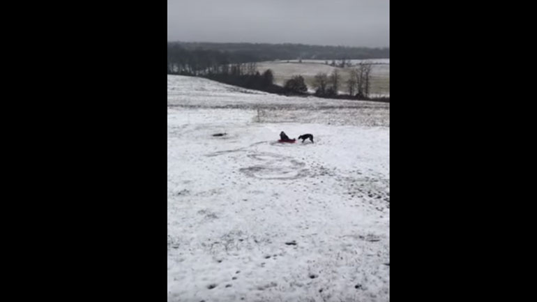 Παιδί παίζει στο χιόνι με τον σκύλο του
