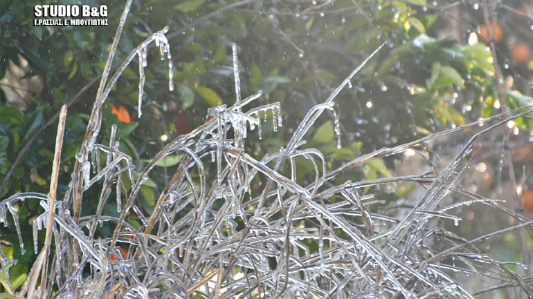 Στην κατάψυξη η Αργολίδα