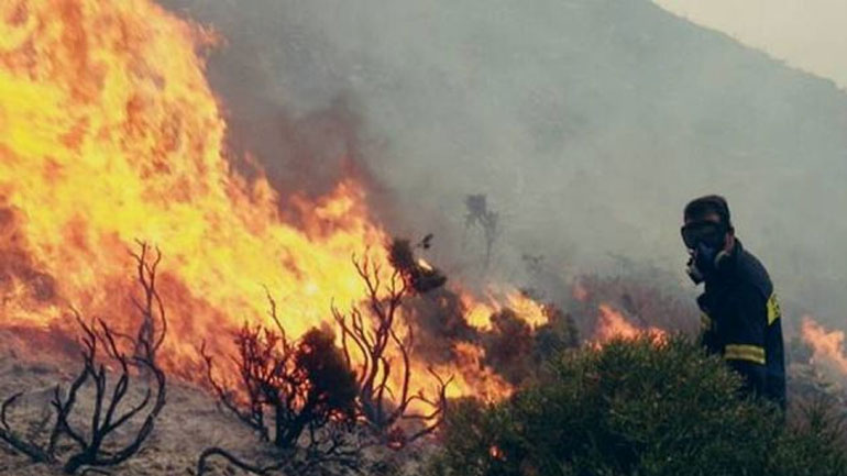 Ικανοποιητική η απόδοση του συστήματος IRIS κατά την αντιπυρική περίοδο του 2019