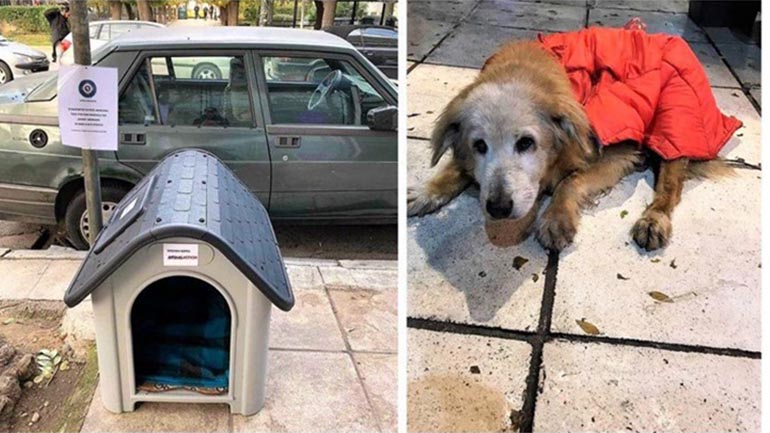 Κυψέλη: Συγκίνησε το σπιτάκι της Κανέλλας