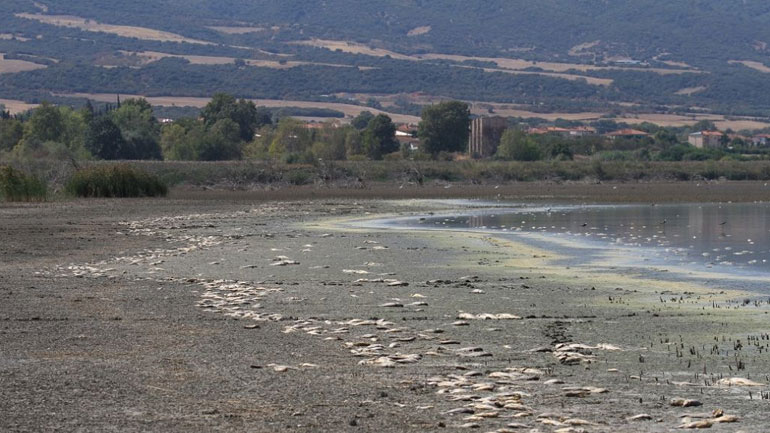 Κίνδυνο νέας οικολογικής καταστροφής στη λίμνη Κορώνεια βλέπει η Κομισιόν