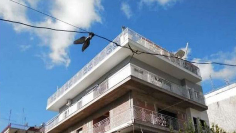 Λαμία: Έσωσαν το περιστέρι που κρεμάστηκε σε καλώδια φωτισμού