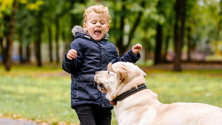 Μήπως το παιδί σας φοβάται τα σκυλιά;