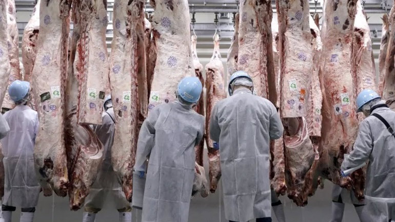 Κίνα:  Aυξήθηκαν οι εισαγωγές χοιρινού και βοδινού κρέατος