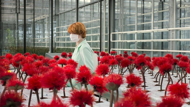 «Το Λουλούδι της Ευτυχίας» της Τζέσικα Χάουσνερ