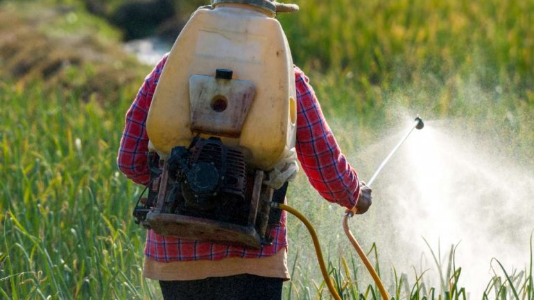 Τα τοξικά χημικά “έκλεψαν” 160 εκατ. βαθμούς IQ από τα παιδιά στις ΗΠΑ