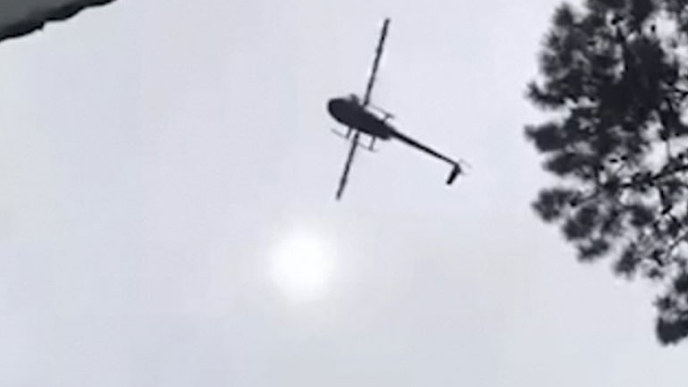 Ουρουγουάη: Έριξαν γουρούνι στην πισίνα εξοχικού από ελικόπτερο