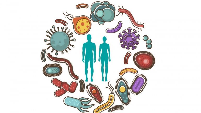 Πέντε τρόποι που με βάση την επιστήμη θα κάνετε το μικροβίωμά σας πιο υγιές