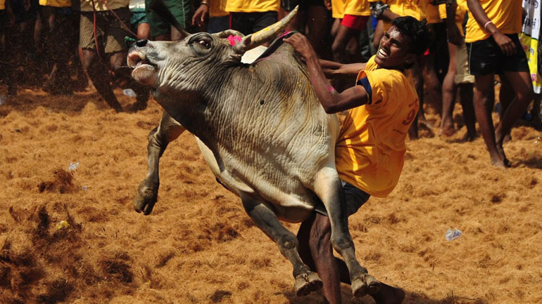 Ινδία: Ένας νεκρός και δεκάδες τραυματίες σε ροντέο