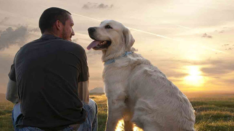 Πώς θα εκπαιδεύσετε σωστά ένα ανυπάκουο σκυλί