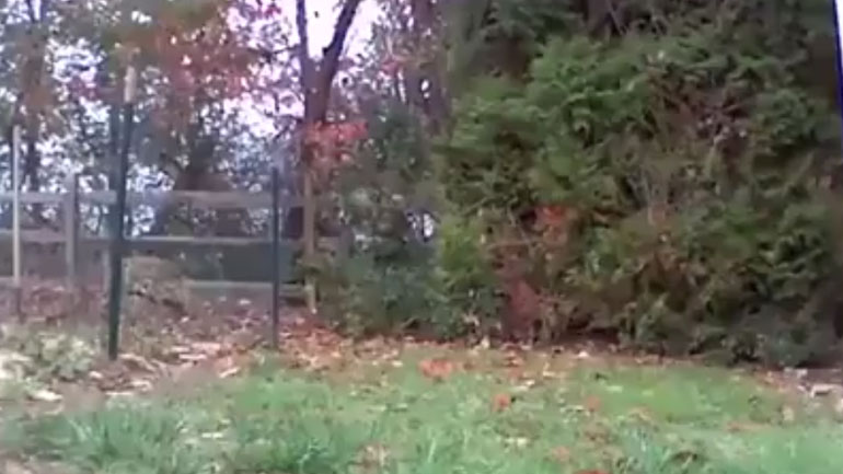 Ο κλέφτης που πιάστηκε στα πράσα