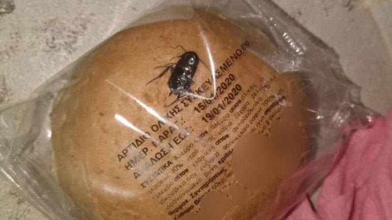 Μαθητής σε δημοτικό σχολείο στα Άνω Λιόσια βρήκε κατσαρίδα σε συσκευασία ψωμιού