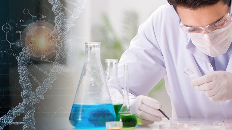 Βρέθηκε κύτταρο-φονιάς του καρκίνου