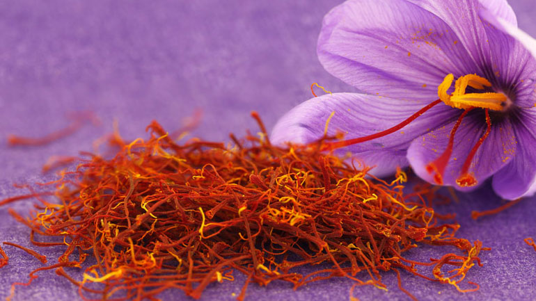 ΟΑΕΔ: Νέο ολοκληρωμένο πρόγραμμα κατάρτισης καλλιέργειας κρόκου